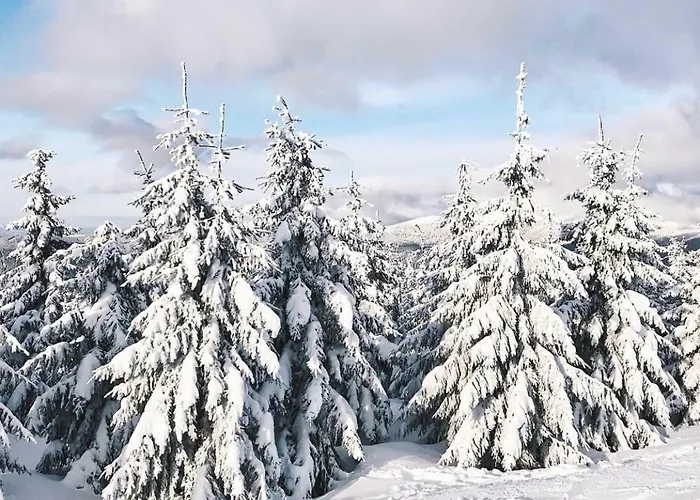 Central Suites - Spindleruv Mlyn