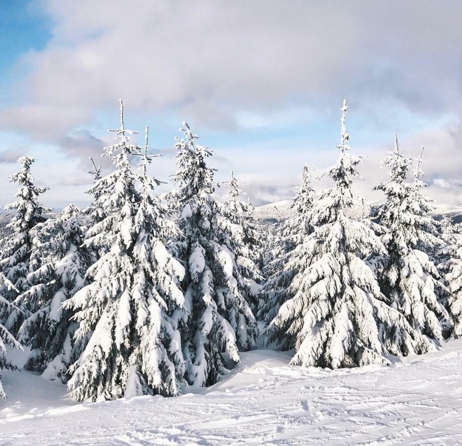 - Apartment Spindleruv Mlyn