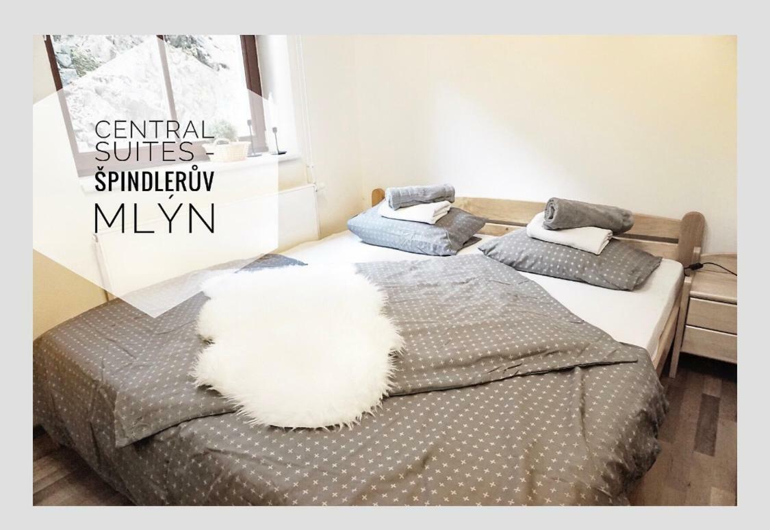 Apartment - Spindleruv Mlyn